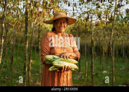 Aînées bonne femme indienne paysanne dans chapeau de paille tenant ses légumes récoltés. Femme sri lankaise souriante sur sa ferme montrant mûre rassemblée Banque D'Images