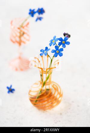 Encore la vie avec le bleu oubliez-moi pas les fleurs dans les mini vases en verre. (Myosotis sylvatica). Concept d'intérieur et de décoration. Copier l'espace. Banque D'Images