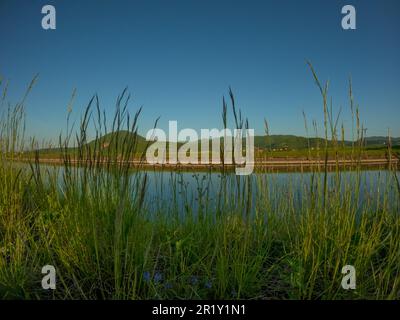 Contraste paisible dans le ciel bleu et réflexion sur une surface d'eau contre l'herbe verte et les fleurs en premier plan et les collines boisées derrière la digue du canal. Banque D'Images