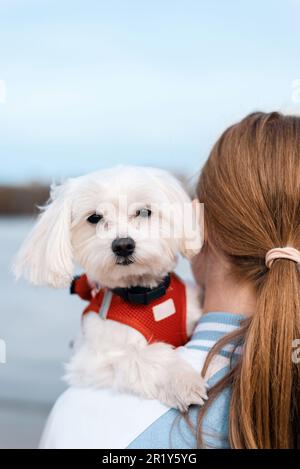 Vue d'une femme blonde portant son chien maltais à fourrure blanche, lac à l'arrière-plan Banque D'Images