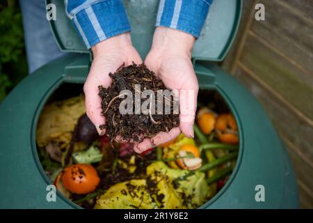 Gros plan de l'homme dans le jardin à la maison tenant du compost durable fait de déchets alimentaires domestiques pourris avec des vers visibles Banque D'Images