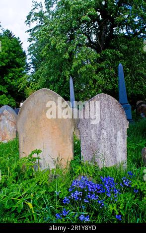 Cimetière de York, Cemetery Road, York, Yorkshire, Angleterre Banque D'Images