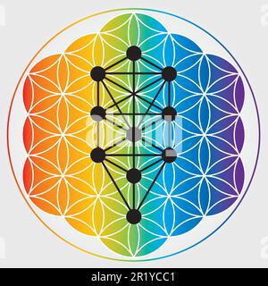Symbole de la fleur de vie en couleurs arc-en-ciel, roue de l'énergie de l'univers cosmique, arbre de Sephiroth, Kabbalah Illustration de Vecteur