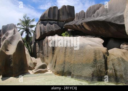 Granit érodés. L'action des vagues sur un nombre incalculable de millénaires a façonné le granit dur sculpté dans ces formations. C'est l'île tropicale o Banque D'Images