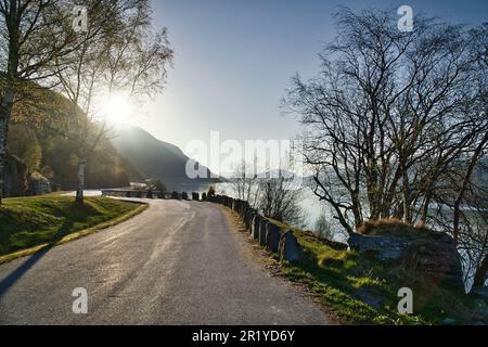 Parking donnant sur la route, le Nordfjord et Bergen en Norvège. Les rayons du soleil tombent à travers les arbres. Paysage de Scandinavie Banque D'Images