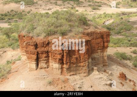 La gorge d'Olduvai ou la gorge d'Oldupai en Tanzanie est l'une des plus importantes localités paléoanthropologiques du monde; les nombreux sites exposés par Th Banque D'Images