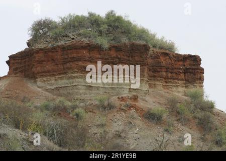 La gorge d'Olduvai ou la gorge d'Oldupai en Tanzanie est l'une des plus importantes localités paléoanthropologiques du monde; les nombreux sites exposés par Th Banque D'Images