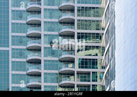 Des nettoyeurs de fenêtres descendant un gratte-ciel dans la Marina de Dubaï, Dubaï, Émirats arabes Unis Banque D'Images