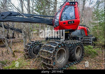 Machines d'exploitation forestière extra-robustes tout-terrain. Banque D'Images