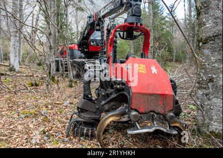 Machines d'exploitation forestière extra-robustes tout-terrain. Banque D'Images