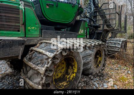 Machines d'exploitation forestière extra-robustes tout-terrain. Banque D'Images