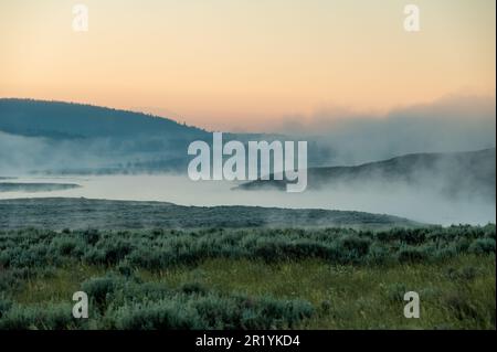 Un épais brouillard surplombe la rivière Yellowstone à Sunrise en été Banque D'Images