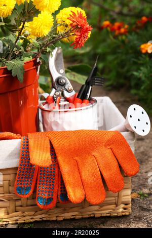 Panier en osier avec gants de jardinage, fleurs en pot et outils à l'extérieur Banque D'Images