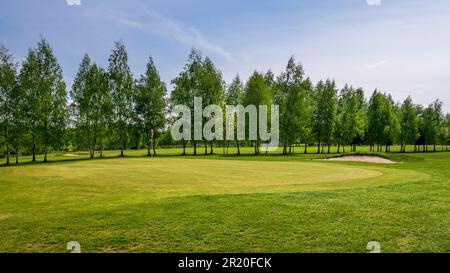 Parcours de golf situé dans le parc Bazantarnia à Siemianowice, Silésie, Pologne. Pelouse parfaitement coupée entourée d'arbres verts et frais. Rangée du bouleau tre Banque D'Images