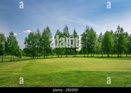 Parcours de golf situé dans le parc Bazantarnia à Siemianowice, Silésie, Pologne. Pelouse parfaitement coupée entourée d'arbres verts et frais. Rangée du bouleau tre Banque D'Images