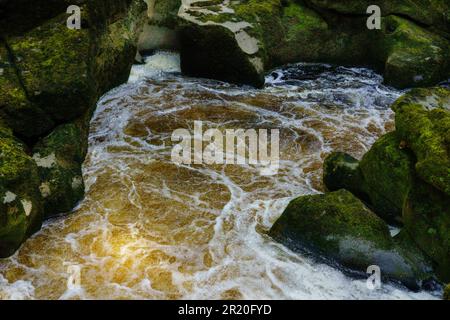 Vue en aval de la rivière Wharfe se condense dans un canal étroit connu sous le nom de STRID, enfermé dans le sol mossy, rocailleux dans le Yorkshire Dales, Royaume-Uni. Banque D'Images