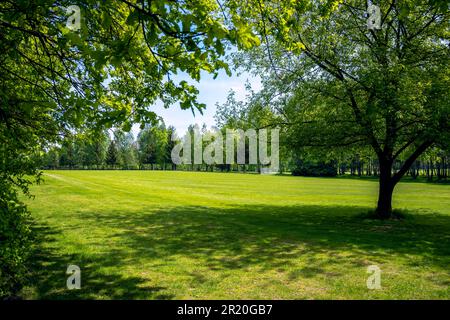 Parcours de golf situé dans le parc Bazantarnia à Siemianowice, Silésie, Pologne. Pelouse parfaitement coupée entourée d'arbres verts et frais. Ensoleillé, jour de printemps Banque D'Images