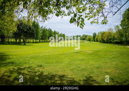 Parcours de golf situé dans le parc Bazantarnia à Siemianowice, Silésie, Pologne. Pelouse parfaitement coupée entourée d'arbres verts et frais. Ensoleillé, jour de printemps Banque D'Images