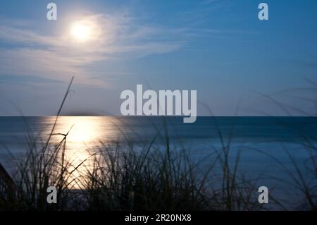 Une pleine lune est illuminée dans le ciel nocturne au-dessus d'un rivage pittoresque, avec de grandes herbes qui encadrent l'océan paisible au-delà Banque D'Images