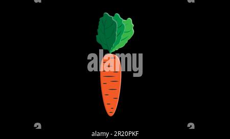 carottes sur fond noir, illustration vectorielle. des carottes longues, orange et brillantes avec une queue verte luxuriante, des légumes, des aliments végétaliens. aliments crus. Illustration de Vecteur