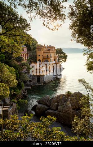 Villas de luxe sur la côte à Portofino, Ligurie, Italie Banque D'Images