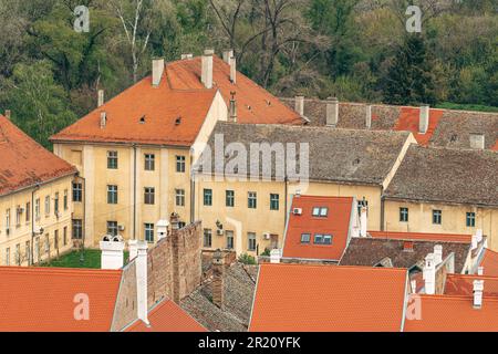 Vue panoramique sur les bâtiments typiques de style austro-hongrois de la vieille ville de Petrovardin en Serbie Banque D'Images