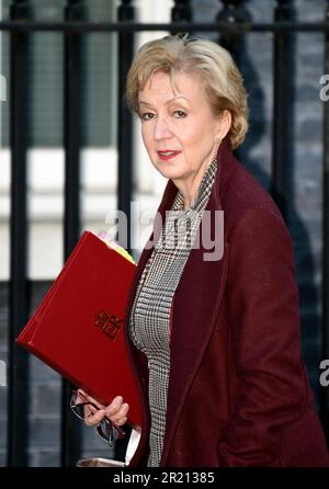Photographie d'Andrea Leadsom, secrétaire d'État aux affaires, à l'énergie et à la stratégie industrielle, laisse le numéro 10 Downing Street, Londres, avant une réunion du cabinet Banque D'Images