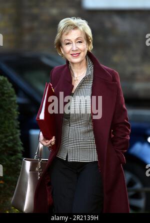 Photographie d'Andrea Leadsom, secrétaire d'État aux affaires, à l'énergie et à la stratégie industrielle, laisse le numéro 10 Downing Street, Londres, avant une réunion du cabinet Banque D'Images