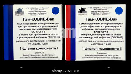 Spoutnik V, un vaccin qui vise à protéger contre la COVID-19. Il a été mis au point par l'Institut de recherche en épidémiologie et en microbiologie de Gamaleya. Enregistré le 11 août 2020 par le Ministère russe de la Santé sous le nom de Gam-COVID-Vac, Spoutnik V est un vaccin à vecteur viral d'adénovirus. Mai 2021. Banque D'Images