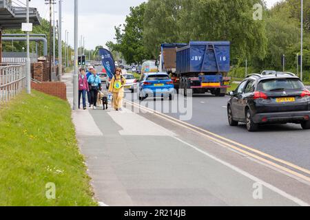 Warrington, Cheshire, Angleterre, Royaume-Uni - 16 mai 2023 - Karin nape est devenue retraité pendant sa promenade de 1000 km de John O'Groats à Lands End. Le voyage a été de recueillir suffisamment d'argent pour les chiens guides pour les aveugles. Karin a déjà élevé 25 chiens guides et a été habillé comme un Labrador géant tout au long de la randonnée. Elle se remet de deux poignets cassés et d'une chirurgie majeure. Son petit-fils est malvoyants et a besoin d'un chien-guide. Karin a reçu la Médaille de l'Empire britannique (BEM) pour ses services de scoutisme en 2019. Crédit : John Hopkins/Alay Live News Banque D'Images