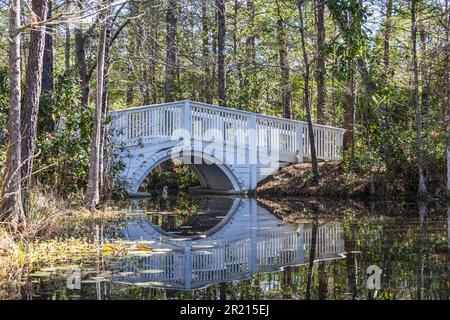 Un petit pont sur l'eau très morte dans une forêt ou un marais comme cadre avec un degré élevé de réflexion sur l'eau. Banque D'Images