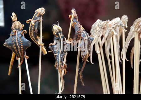 Beijing, Chine - snack Street à Wangfujing - le marché nocturne de Wangfujing propose une sélection de plats exotiques de la rue snack Street. On peut trouver des insectes frits, des scorpions et des créatures marines, ainsi que d'autres animaux et parties d'animaux qui ne sont pas habituellement consommés comme nourriture dans l'ouest. Mais bien que ces collations exotiques puissent être trouvées, d'autres aliments plus communs, comme le Chuanr (kebabs de viande, généralement fait d'agneau) et les desserts, comme le Tang hu lu, ou les fruits confits composent la majorité de la nourriture vendue dans la rue. Banque D'Images