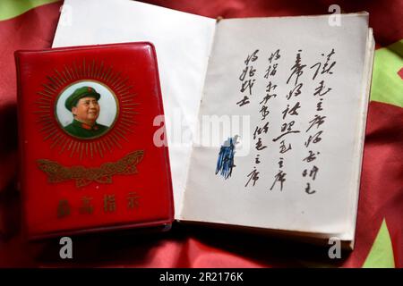 Pendant la Révolution culturelle, le culte de la personnalité de Mao s'est manifesté dans le port omniprésent de badges représentant le président Mao, et de personnes portant un petit livre rouge avec les écrits de Mao, qui seraient étudiés et cités à chaque occasion. Banque D'Images