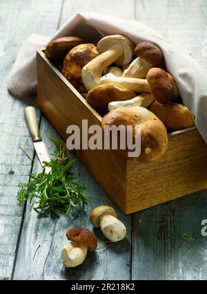 Panier avec champignons porcini frais en été ou en automne; champignons cep et épices herbes sur une table en bois; recette italienne Banque D'Images