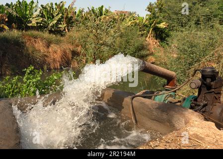 Haute Égypte, Égypte. 14th décembre 2022. L'eau est pompée hors du Nil dans les canaux d'irrigation pour alimenter les cultures de bananes cultivées dans des plantations en haute-Égypte. (Credit image: © John Wreford/SOPA Images via ZUMA Press Wire) USAGE ÉDITORIAL SEULEMENT! Non destiné À un usage commercial ! Banque D'Images