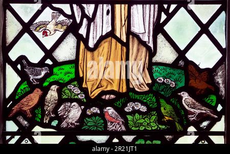 Vitraux d'oiseaux, St. Eglise Laurence, Lighthorne, Warwickshire, Angleterre, Royaume-Uni Banque D'Images