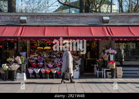 Femme passant devant un fleuriste à Viru tänav à Tallinn, Estonie Banque D'Images