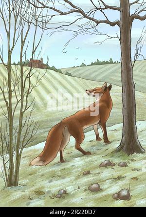 Illustration d'un renard sur le fond d'un paysage d'hiver. Ferme, champs couverts de neige et de troncs d'arbres. Pour l'impression de livres, l'impression sur des produits pour enfants, la conception de sites Web. Illustration de haute qualité Banque D'Images