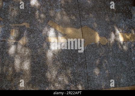 Piste cyclable et piétonne, Gold Coast, Australie. Banque D'Images