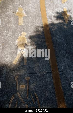 Piste cyclable et piétonne, Gold Coast, Australie. Banque D'Images