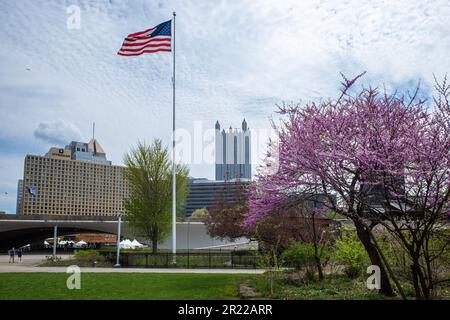 Le drapeau américain survolez le parc national de point, entouré de cerisiers en fleurs, à Pittsburgh, en Pennsylvanie. Banque D'Images