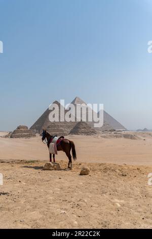 Cheval devant la Pyramide de Khafre, complexe des pyramides de Gizeh, le Caire, Égypte. Banque D'Images