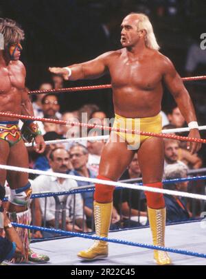 1993 Hulk Hogan Ultimate Warrior photo par John Barrett/PHOTOlink Banque D'Images
