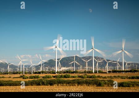 Ferme éolienne à Tahivilla, Espagne, Andalousie, Tarifa, la Janda Banque D'Images