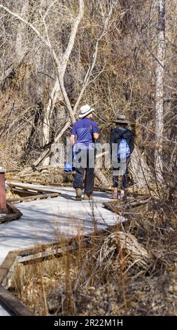 Vallée de Morongo, Californie - 4 février 2023 : un couple marchant sur un sentier de promenade dans une réserve naturelle de la réserve du Grand Canyon de Morongo Banque D'Images