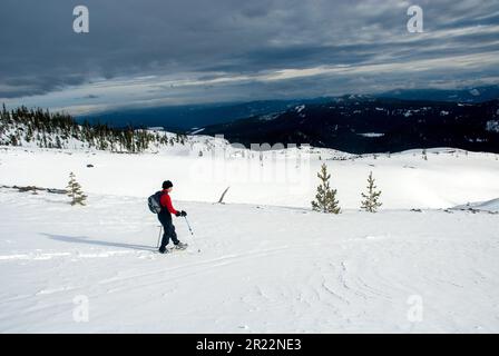 Femme adulte en raquettes sur le mont Saint Helens, Washington. Banque D'Images