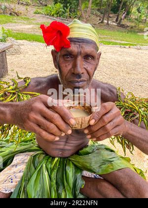 Le kava est une boisson traditionnelle et culturellement importante au Vanuatu. Il est fabriqué à partir des racines de la plante kava, connue scientifiquement sous le nom de Piper methysticum. Les racines sont mouillées dans une fine poudre, qui est ensuite mélangée avec de l'eau pour créer une boisson boueuse et terreuse. Le kava est consommé depuis des siècles au Vanuatu et est profondément lié aux aspects sociaux, cérémoniels et médicinaux de la culture locale. Il est souvent partagé entre les amis et la famille lors de rassemblements ou de cérémonies formelles, favorisant la relaxation, le lien social et un sentiment de communauté. Le kava est connu pour ses propriétés apaisantes, prov Banque D'Images