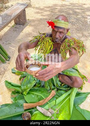 Le kava est une boisson traditionnelle et culturellement importante au Vanuatu. Il est fabriqué à partir des racines de la plante kava, connue scientifiquement sous le nom de Piper methysticum. Les racines sont mouillées dans une fine poudre, qui est ensuite mélangée avec de l'eau pour créer une boisson boueuse et terreuse. Le kava est consommé depuis des siècles au Vanuatu et est profondément lié aux aspects sociaux, cérémoniels et médicinaux de la culture locale. Il est souvent partagé entre les amis et la famille lors de rassemblements ou de cérémonies formelles, favorisant la relaxation, le lien social et un sentiment de communauté. Le kava est connu pour ses propriétés apaisantes, prov Banque D'Images