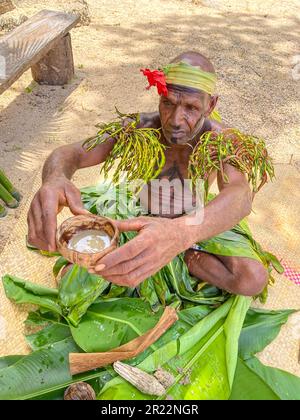 Le kava est une boisson traditionnelle et culturellement importante au Vanuatu. Il est fabriqué à partir des racines de la plante kava, connue scientifiquement sous le nom de Piper methysticum. Les racines sont mouillées dans une fine poudre, qui est ensuite mélangée avec de l'eau pour créer une boisson boueuse et terreuse. Le kava est consommé depuis des siècles au Vanuatu et est profondément lié aux aspects sociaux, cérémoniels et médicinaux de la culture locale. Il est souvent partagé entre les amis et la famille lors de rassemblements ou de cérémonies formelles, favorisant la relaxation, le lien social et un sentiment de communauté. Le kava est connu pour ses propriétés apaisantes, prov Banque D'Images