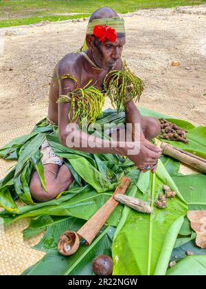 Le kava est une boisson traditionnelle et culturellement importante au Vanuatu. Il est fabriqué à partir des racines de la plante kava, connue scientifiquement sous le nom de Piper methysticum. Les racines sont mouillées dans une fine poudre, qui est ensuite mélangée avec de l'eau pour créer une boisson boueuse et terreuse. Le kava est consommé depuis des siècles au Vanuatu et est profondément lié aux aspects sociaux, cérémoniels et médicinaux de la culture locale. Il est souvent partagé entre les amis et la famille lors de rassemblements ou de cérémonies formelles, favorisant la relaxation, le lien social et un sentiment de communauté. Le kava est connu pour ses propriétés apaisantes, prov Banque D'Images